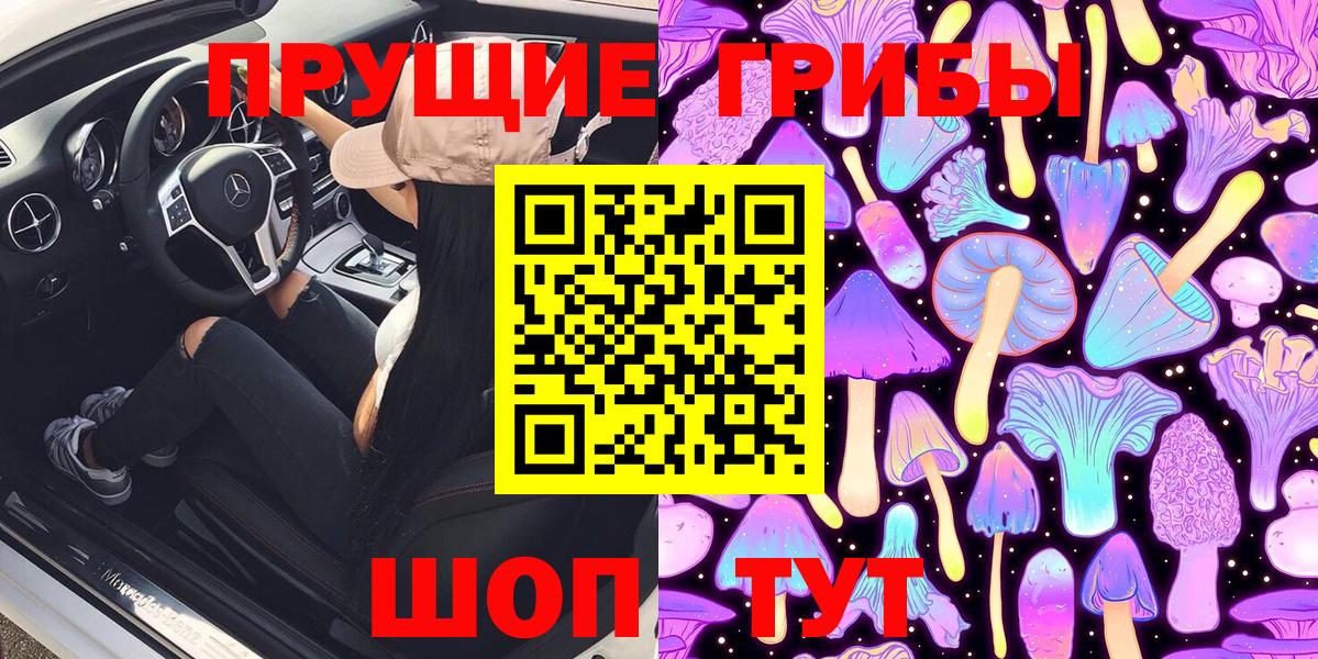 Псилоцибиновые грибы GOLDEN TEACHER Курчатов