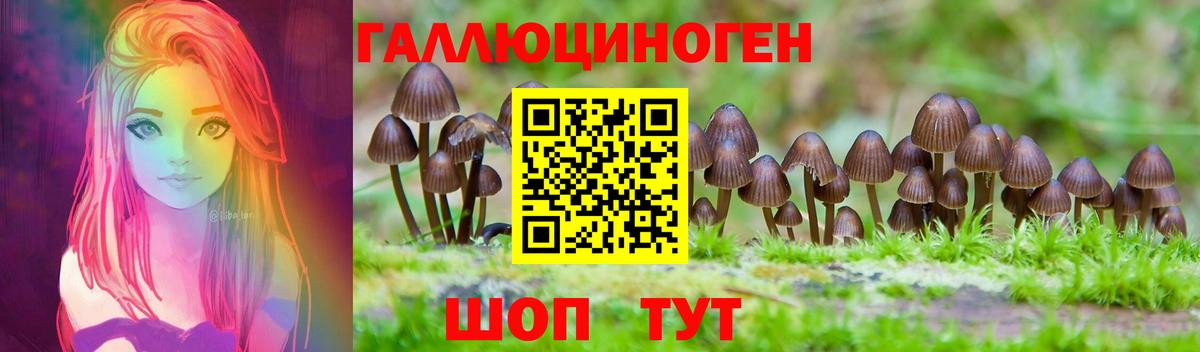 Галлюциногенные грибы Cubensis  Вход с VPN  Галлюциногенные грибы MAGIC MUSHROOMS  Курчатов 