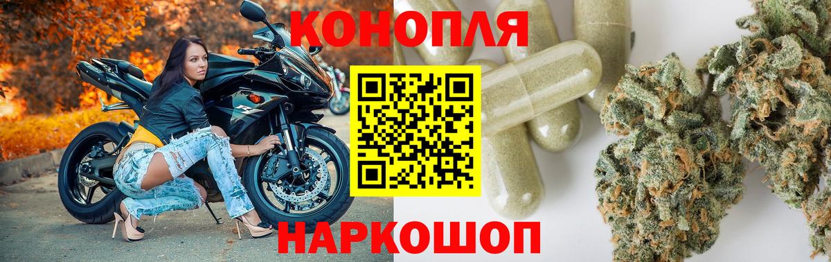 Марихуана сатива Курчатов